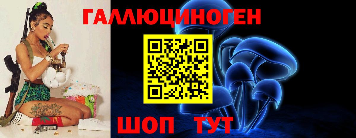 Галлюциногенные грибы Cubensis Будённовск